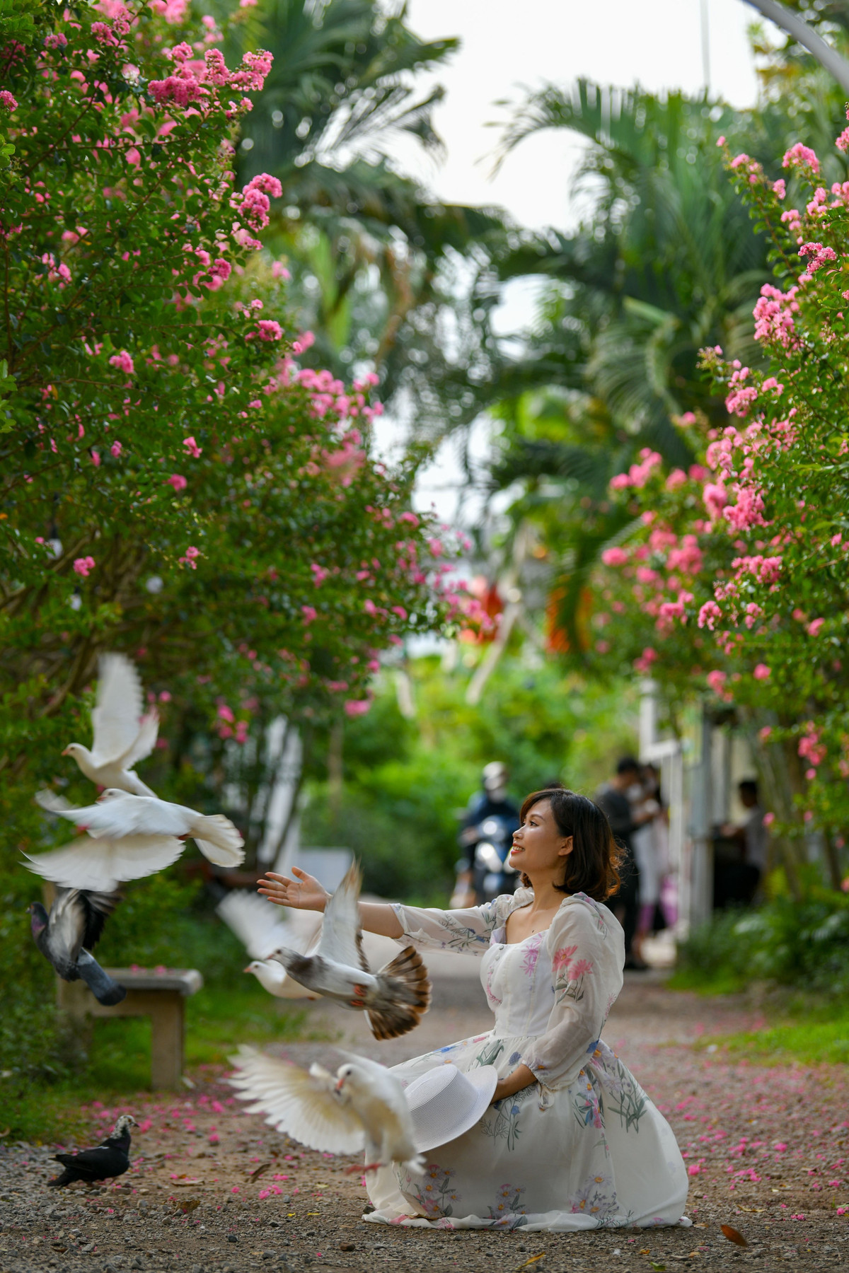 Không chỉ có những phụ kiện, để tăng thêm độ tự nhiên cho khung hình, chủ phim trường còn nuôi thêm những chú chim bồ câu để khách có thêm "bạn diện".