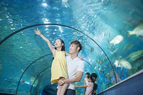 Đường hầm thủy cung độc đáo, show "Nàng tiên cá" và nhiều hoạt động trải nghiệm khác là điểm nhấn của khu thủy cung ngay tại Hà Nội này dịp nghỉ lễ Quốc khánh. Ảnh: Vinpearl