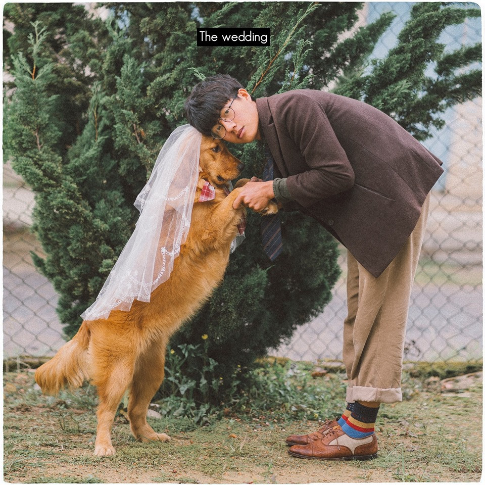 Được biết, 9X Đà Lạt Thanh Bình dự định chỉ suy tính việc lấy vợ khi đến 28 tuổi. Nhưng bị giục lấy vợ quá nhiều lần từ mẹ, anh chàng nảy ra ý tưởng chụp ảnh cưới với chú chó Bông yêu quý của mình.