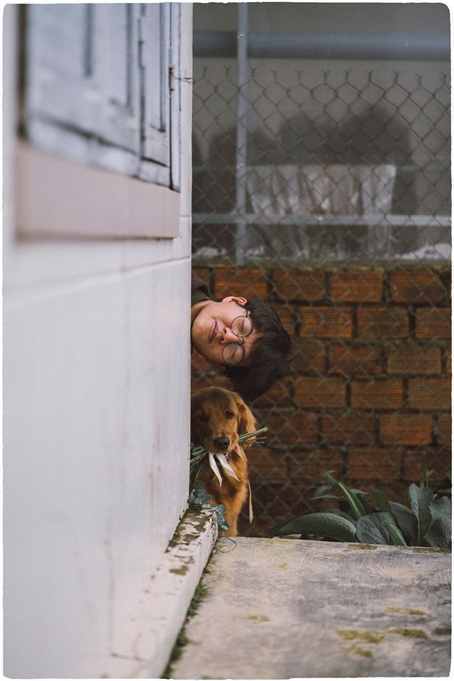 Bộ ảnh cưới chụp cùng cún cưng của Bình nhanh chóng nhận được hàng chục nghìn lượt like, chia sẻ và bình luận tích cực từ CĐM.