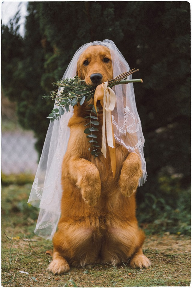 Được biết, Bông từng nhiều lần làm mẫu ảnh cho Thanh Bình nên rất hợp tác và không ngại tạo dáng trước ống kính.