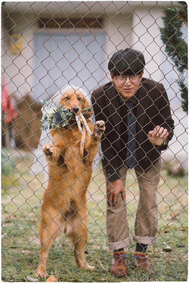 Khung cảnh ngoài trời của bộ ảnh cưới mà Thanh Bình thực hiện đơn giản là khoảng sân vườn với cây thông đặc trưng của Đà Lạt, hoặc khu nhà hàng xóm ngay gần bên.