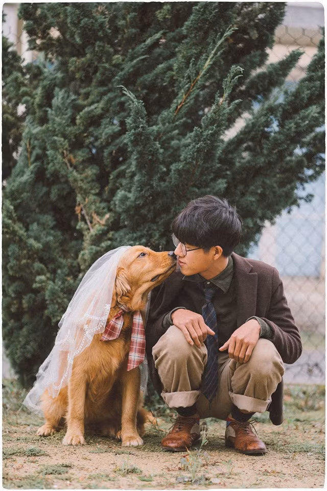 Tài khoản Đ.H bình luận: "Đáng yêu quá đôi bạn ơi. Cần gì có gấu khi mình có ngay em boss bên cạnh".