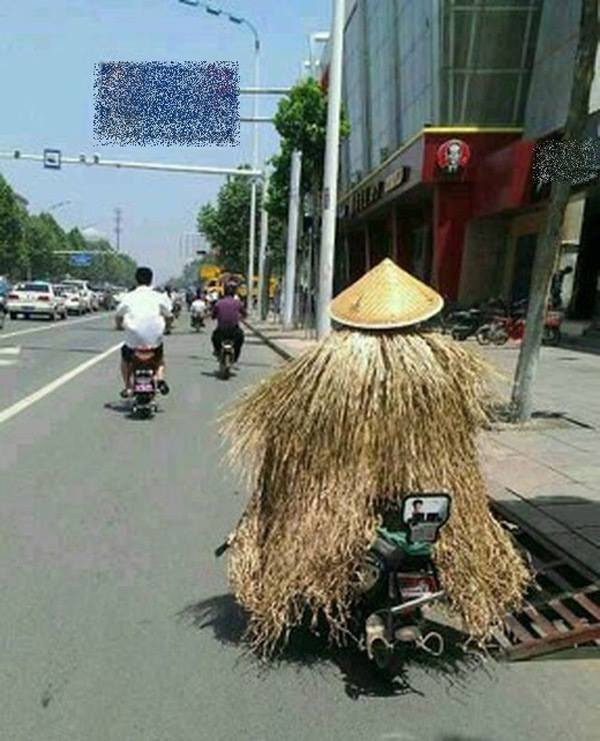 Rơm rạ, nón lạ cũng được sử dụng như một biện pháp tránh nóng khi đi đường.