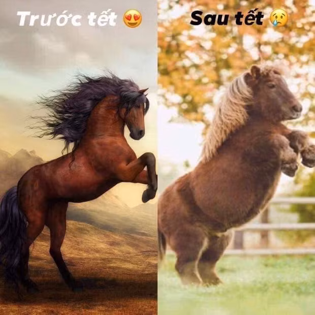 Ăn không thể bóp mồm bóp miệng được thì đồ vật nên tránh xa nhất trong dịp Tết Nguyên đán chính là...cái cân. Nhìn những con số trên cân tăng không phanh chỉ sau 6 ngày Tết mà muốn trầm cảm luôn chứ chẳng đùa.