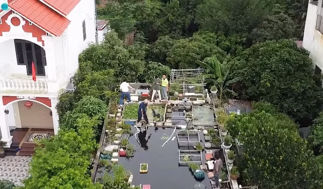 Ý tưởng xây dựng ao cá trên nóc nhà là của ông Trương Hùng Tuấn (89 tuổi) ở Hải Dương. Năm 2017, sau khi xây xong ngôi nhà mái bằng, vì không có điều kiện chống nóng nên ông Tuấn nảy ra ý tưởng làm ao trên nóc nhà.