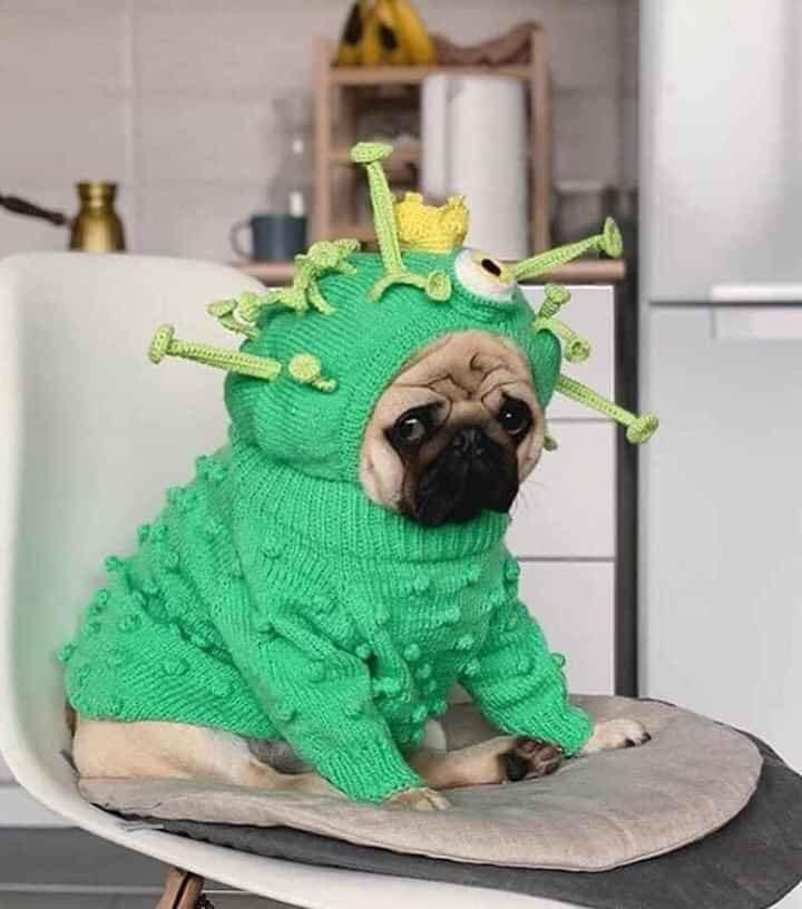 Cosplay virus cho cả thế giới sợ phát khiếp.