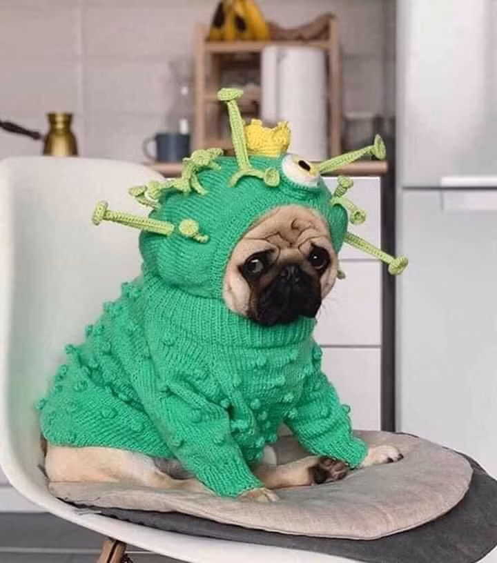 Cosplay virus cho cả thế giới sợ phát khiếp.