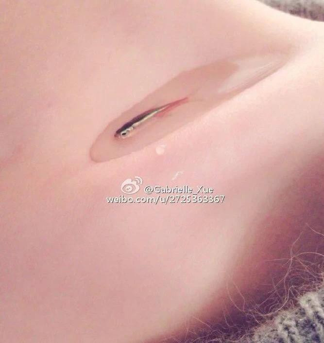 Cách đây không lâu, trào lưu nuôi cá, để tiền xu hay đặt trứng trên xương quai xanh để khoe cơ thể quyến rũ cũng được giới trẻ Trung Quốc yêu thích.