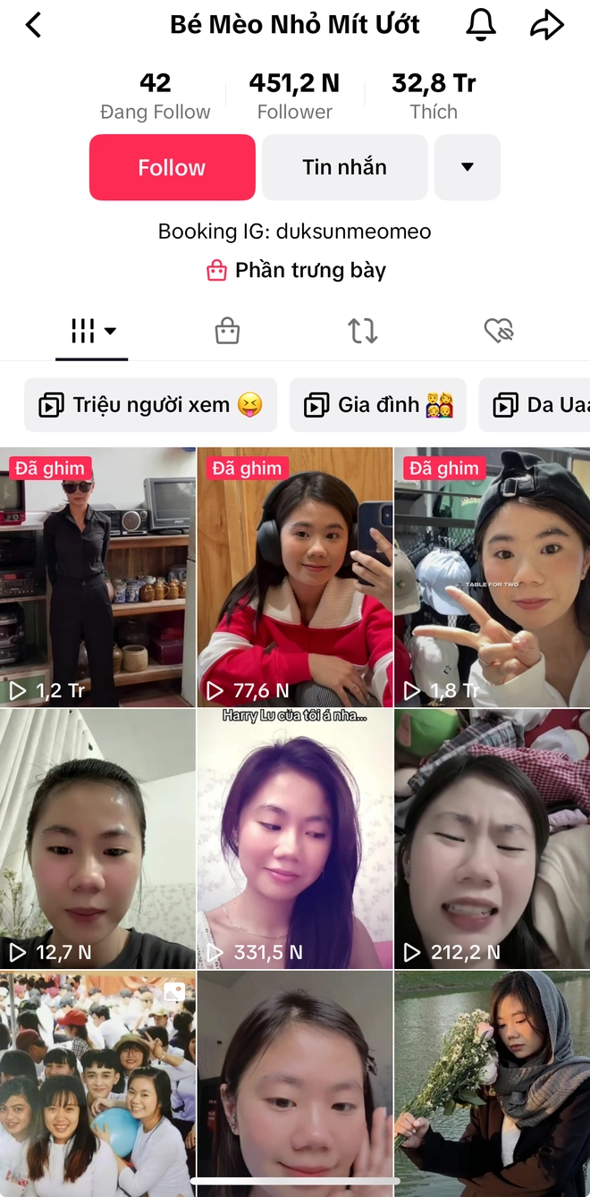 Kênh TikTok "Bé Mèo Nhỏ Mít Ướt" của Thảo hiện đã có tới hơn 450K lượt theo dõi và hơn 30M lượt yêu thích.