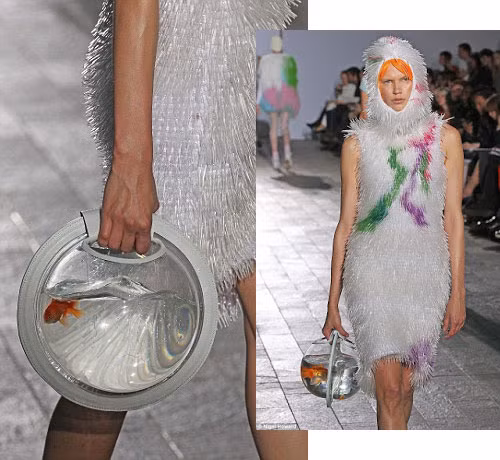 Chiếc túi bể cá dành cho những ai yêu thích cá cảnh. Ảnh: Zing.vn.