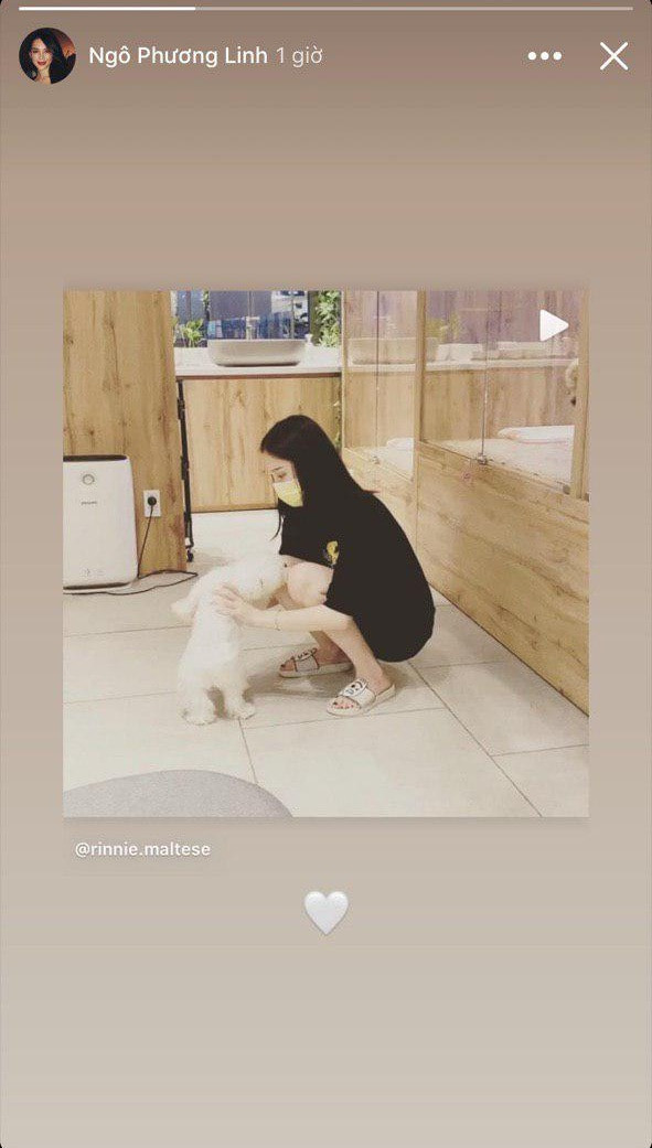 Hậu chia tay, Linh Rin mua một chú chó trắng và lập một tài khoản mạng xã hội riêng. Cô nàng hạnh phúc khoe khoảnh khắc đáng yêu bên thú cưng.