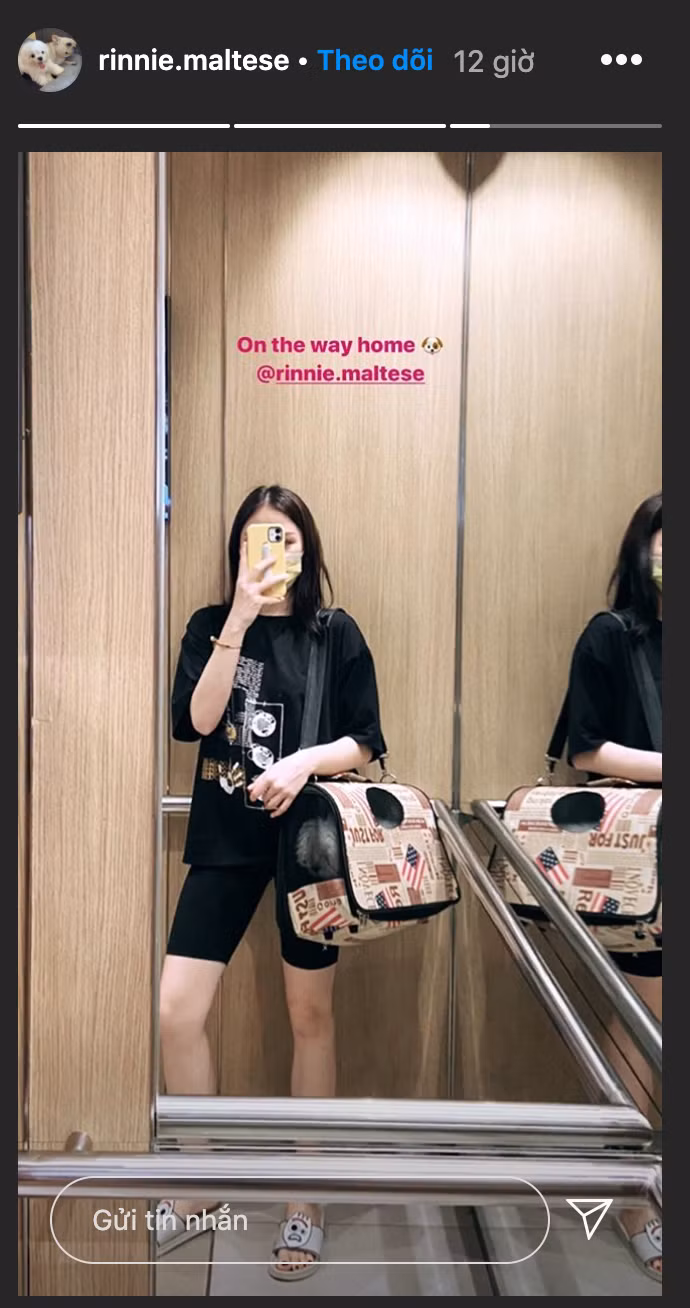 Hiện tại, Linh Rin chỉ dùng trang Instagram lập riêng cho thú cưng, còn trang cá nhân của cô nàng đã bị khóa.