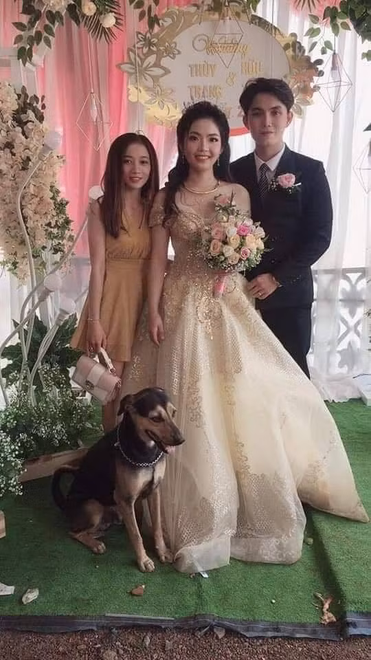 Ngay sau đó, tấm hình chú cún ngoan ngoãn đứng cạnh cô dâu chú rể để chụp một bức ảnh kỷ niệm được ra đời. 