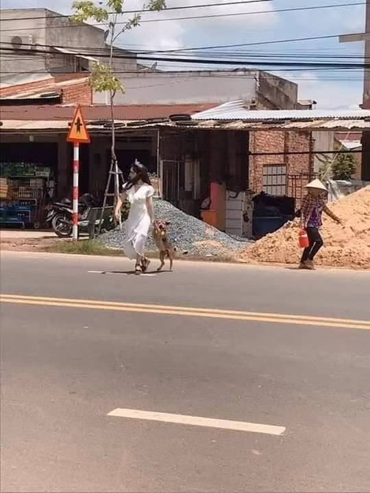 Theo đó, một cô dâu đang mặc váy cưới đang hớt hải chạy sang đường tìm và lôi chú cún cưng đang "tung tăng" dạo chơi về.