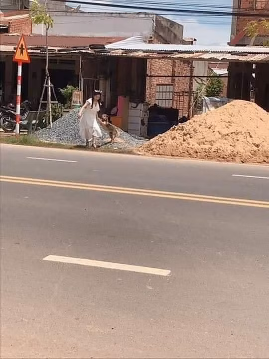 Cũng vì thế mới có chuyện 1 cô dâu vội vã chạy sang đường, dắt chú cún cưng về để chụp hình kỷ niệm ngày trong ngày cưới.