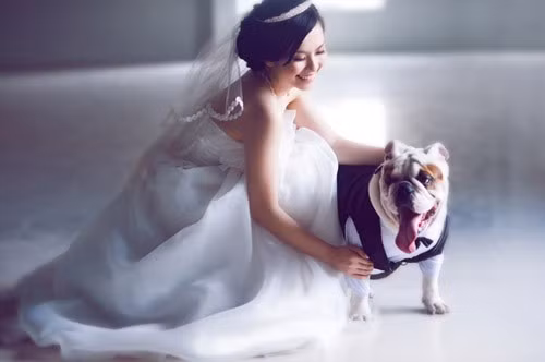 "Boss" cứ dễ thương thế này thì "sen" sao nỡ đi lấy chồng?