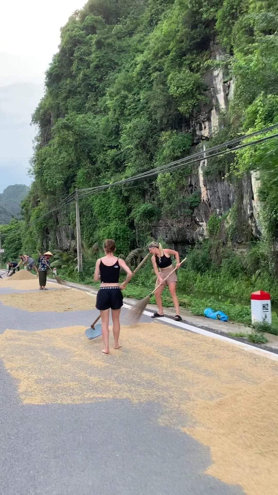 Người cào lúa, người quét, đoàn khách Tây chẳng nề hà gì mà cực nhiệt tình.