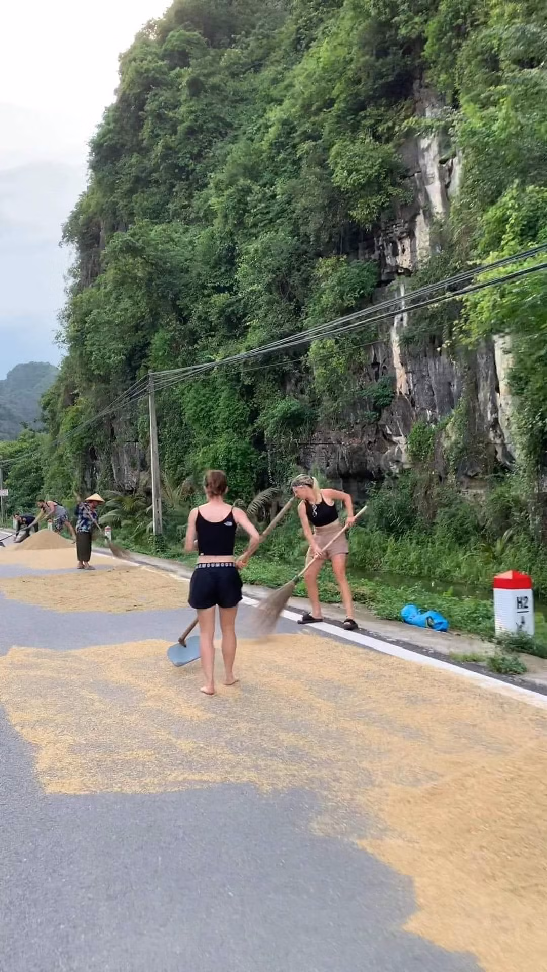 Người cào lúa, người quét, đoàn khách Tây chẳng nề hà gì mà cực nhiệt tình.