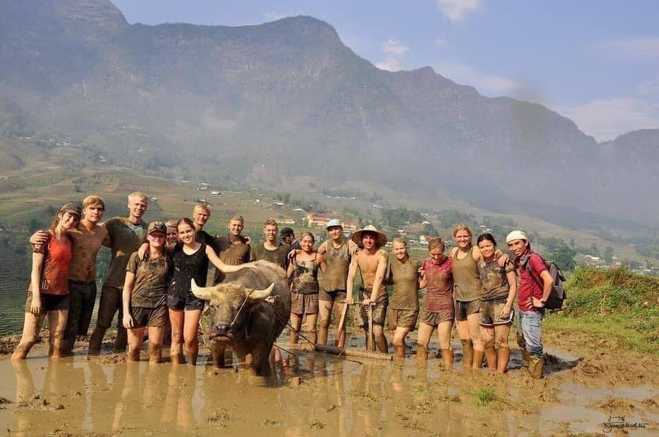 Cuối buổi làm nông trải nghiệm, đoàn khách Tây còn chụp ảnh kỉ niệm cùng với bạn của nhà nông: chú trâu đen cần mẫn.