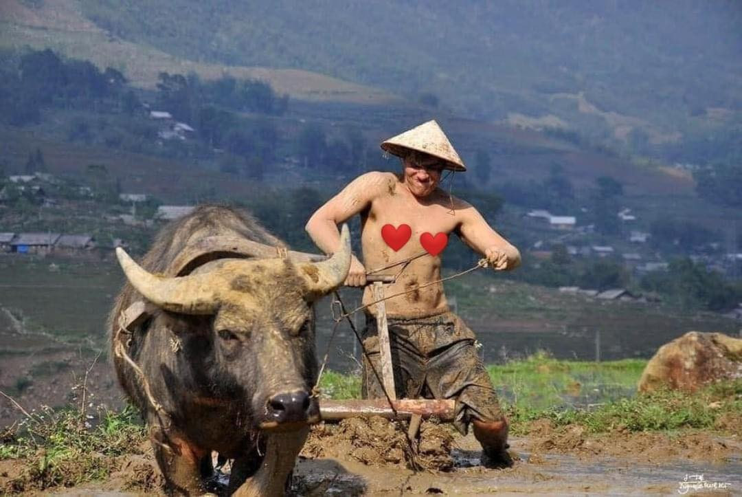 Nhìn biểu cảm trên gương mặt của vị khách này là biết công việc này đối với anh không hề dễ dàng tí nào.