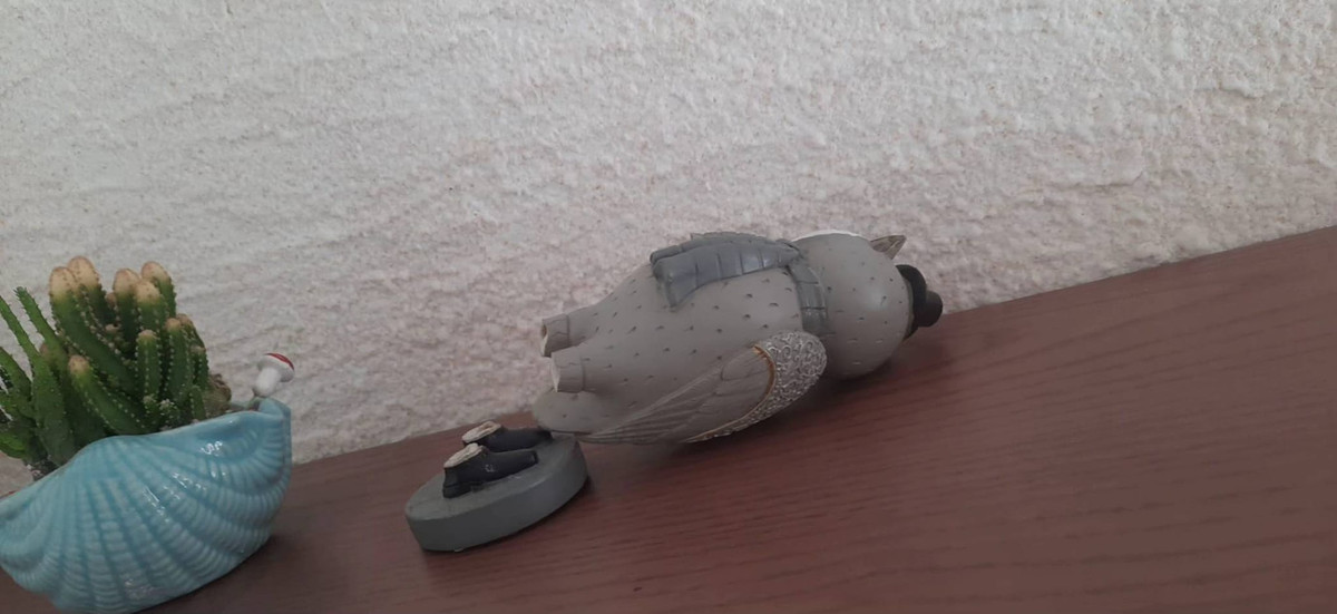 Không chỉ xả rác, đoàn khách này còn làm hỏng đồ trang trí trong nhà.