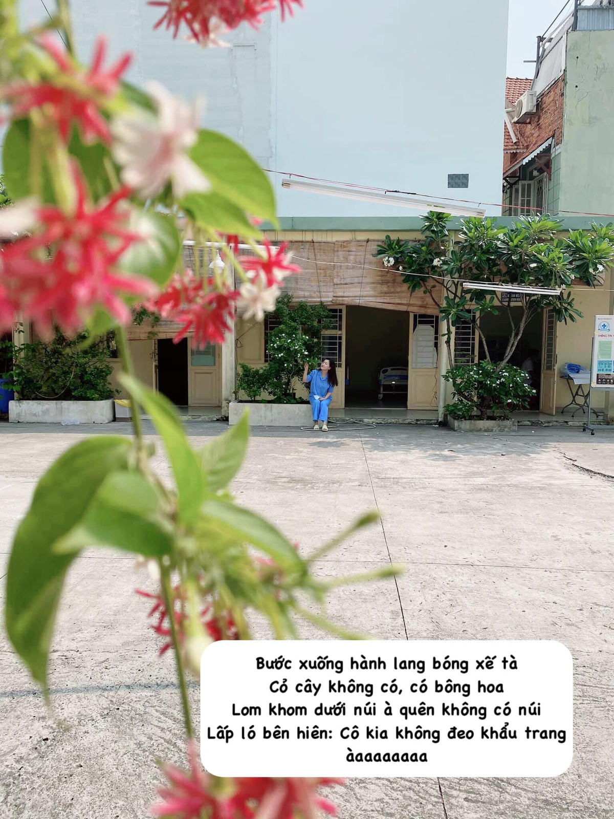 Thậm chí, Thùy Dung còn chế cả thơ của Bà Huyện Thanh Quan cho phù hợp với cả cảnh và người trong khu vực cách ly dịch Covid-19.