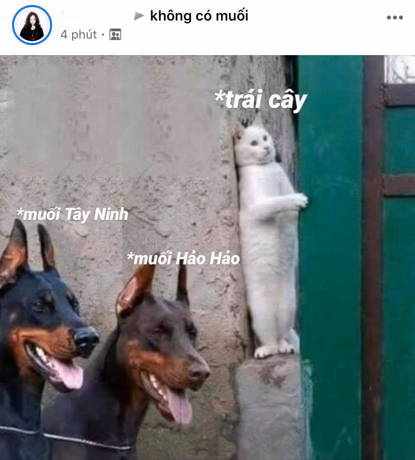 Việc muối chấm Hảo Hảo ra mắt chính thức là nỗi lo sợ của trái cây lúc này.