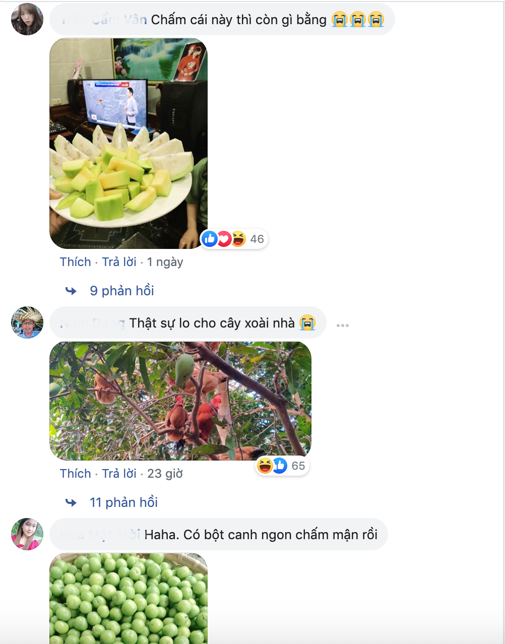 Dự đoán, đây sẽ là sản phẩm nhanh hết hàng trong thời gian đầu được bày bán.