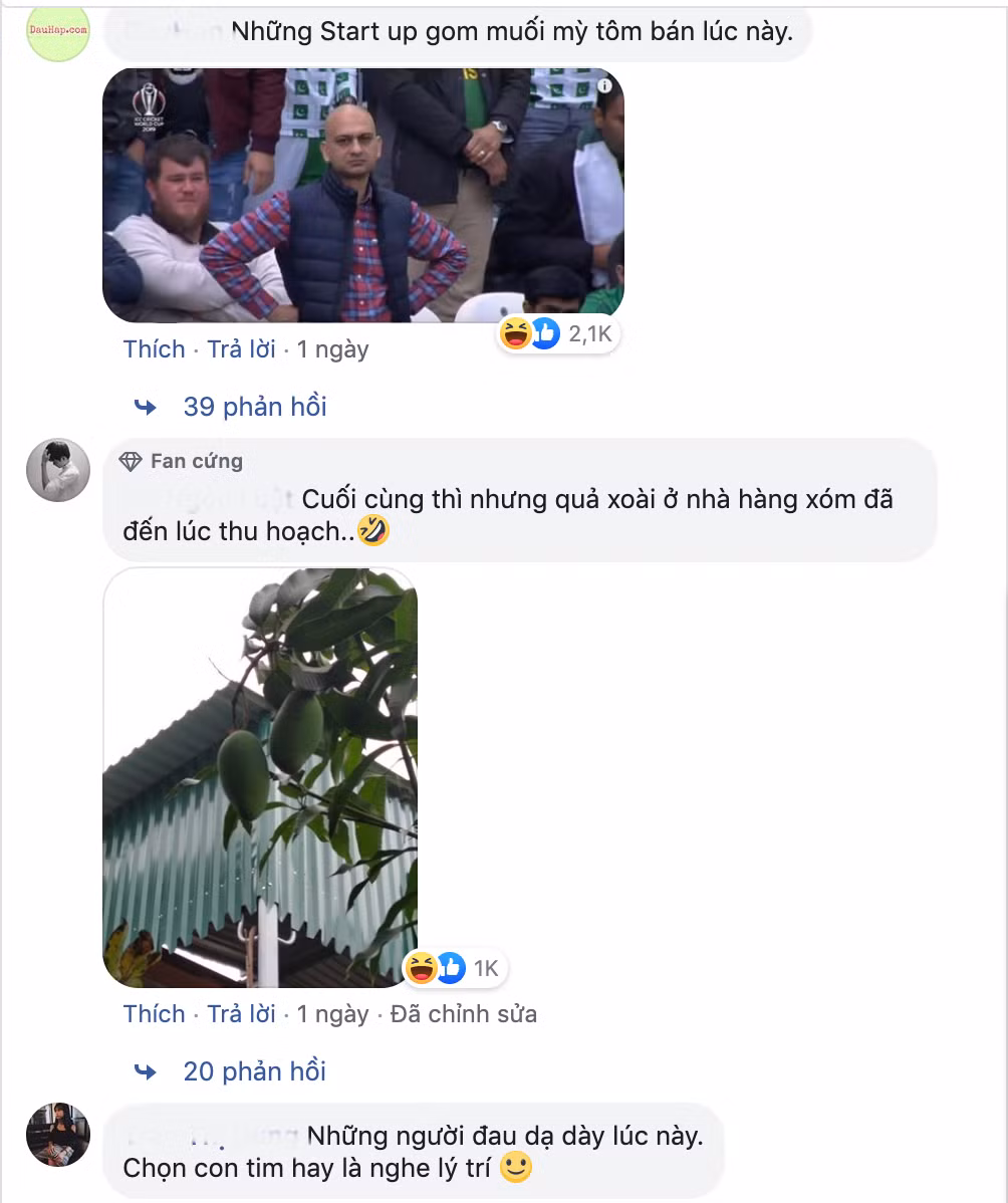 Dân mạng thi nhau khoe xoài, khoe mận trên cây chỉ chờ có muối là vặt luôn. Thế nhưng, những người đau dạ dày lại chỉ biết khóc ròng trong đau khổ.