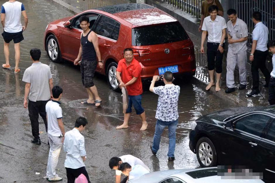 Mưa lớn đến nỗi đi xe ô tô cũng có thể bắt được cá.