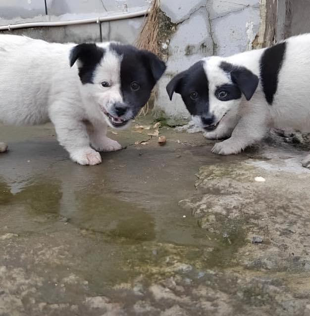 Đúng là một cặp bài trùng...