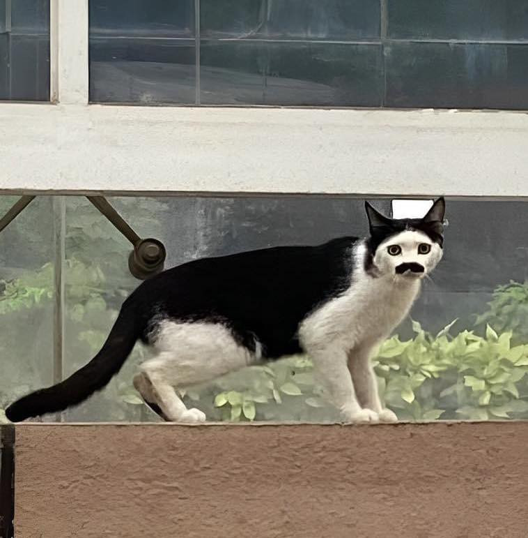 Ria mép này là tự nhiên 100% đó nha.