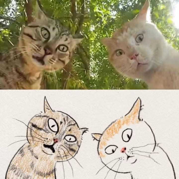 Một tác giả đã dùng tài năng hội họa của mình để biến những hình ảnh chú mèo hài hước được chụp lại loạt meme tranh vẽ. Tiêu đề của bức ảnh này được netizen đặt: "Nhìn giề?"