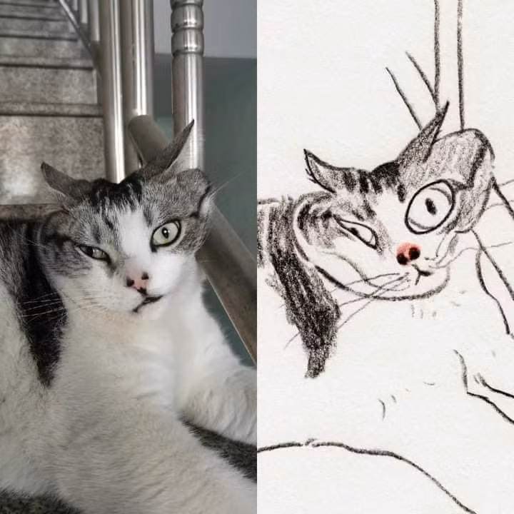 Bẹo hình bẹo dạng...