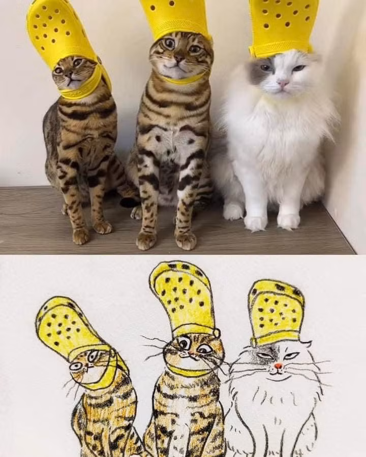 Bộ 3 siêu đáng yêu.