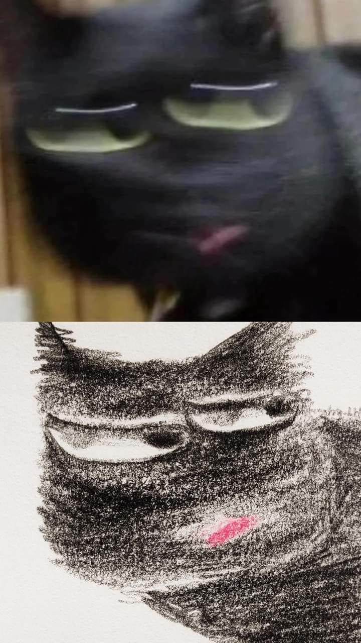 Không thể nhìn ra nổi đây là mèo hay con gì nữa...