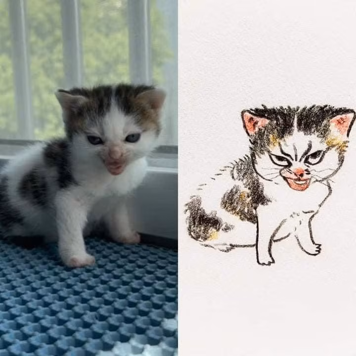 Nhiều người đã bình luận hài hước: "Nhìn ảnh cũng bình thường mà chuyển thành ảnh sao mà xấu đau xấu đớn vậy trời".