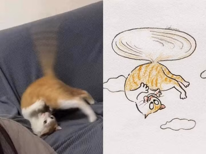 Liệu đây có phải là chong chóng tre của Doraemon trong truyền thuyết?