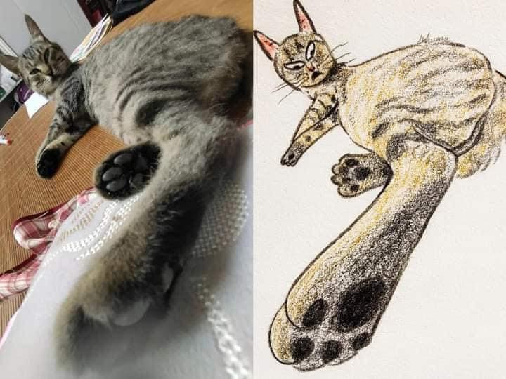 Chan dài tới nách là có thật nha.