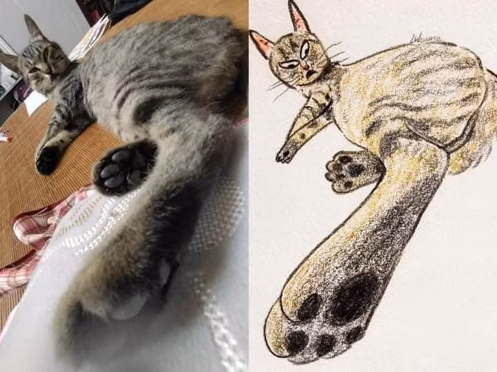 Chan dài tới nách là có thật nha.