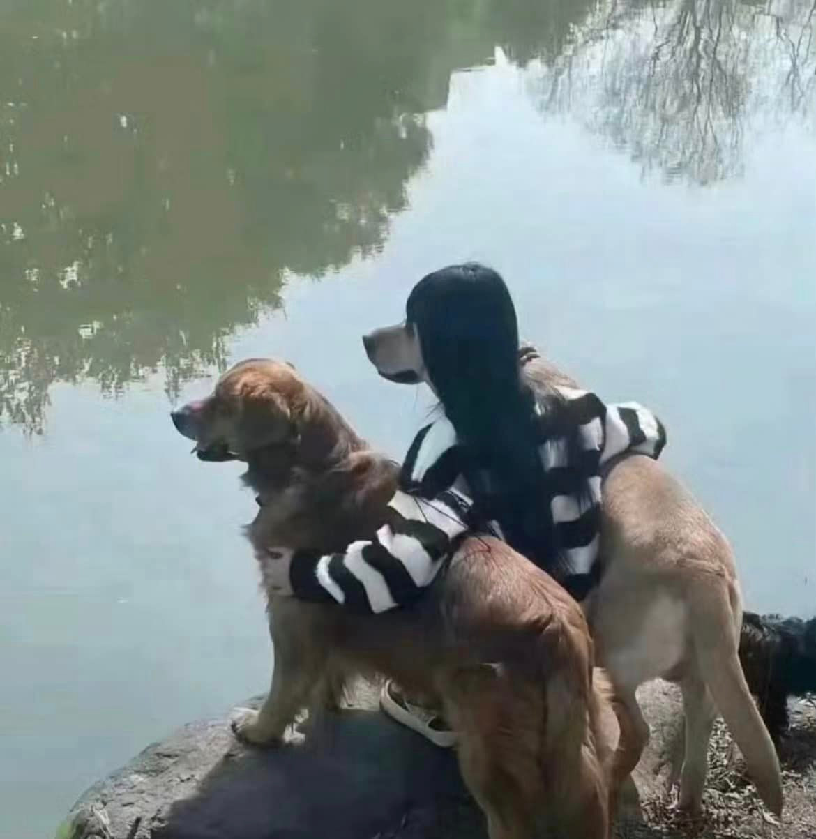 Tấm ảnh cực kỳ gây lú, nếu không nhìn kĩ sẽ không thấy cô bạn gái đang ngồi giữa 2 chú cún.