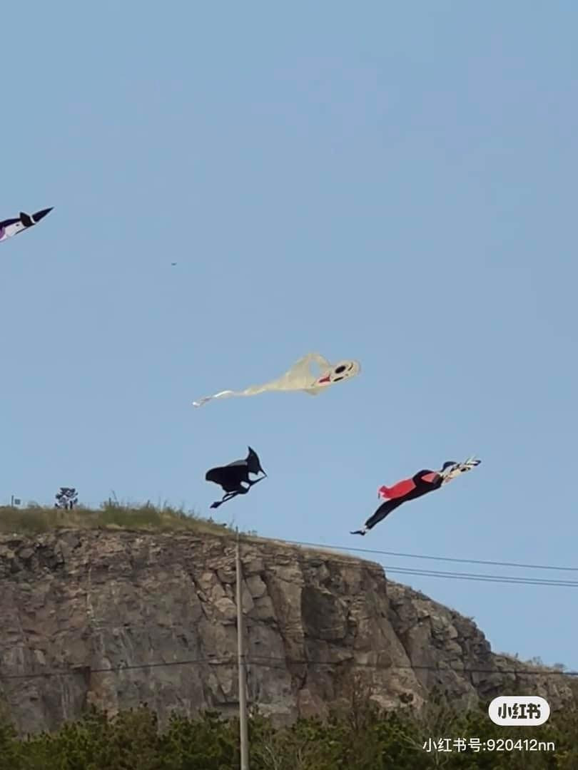 Hàng nghìn khán giả và người đam mê diều nghiệp dư cũng có mặt tham dự để có được những trải nghiệm thú vị và mãn nhãn.