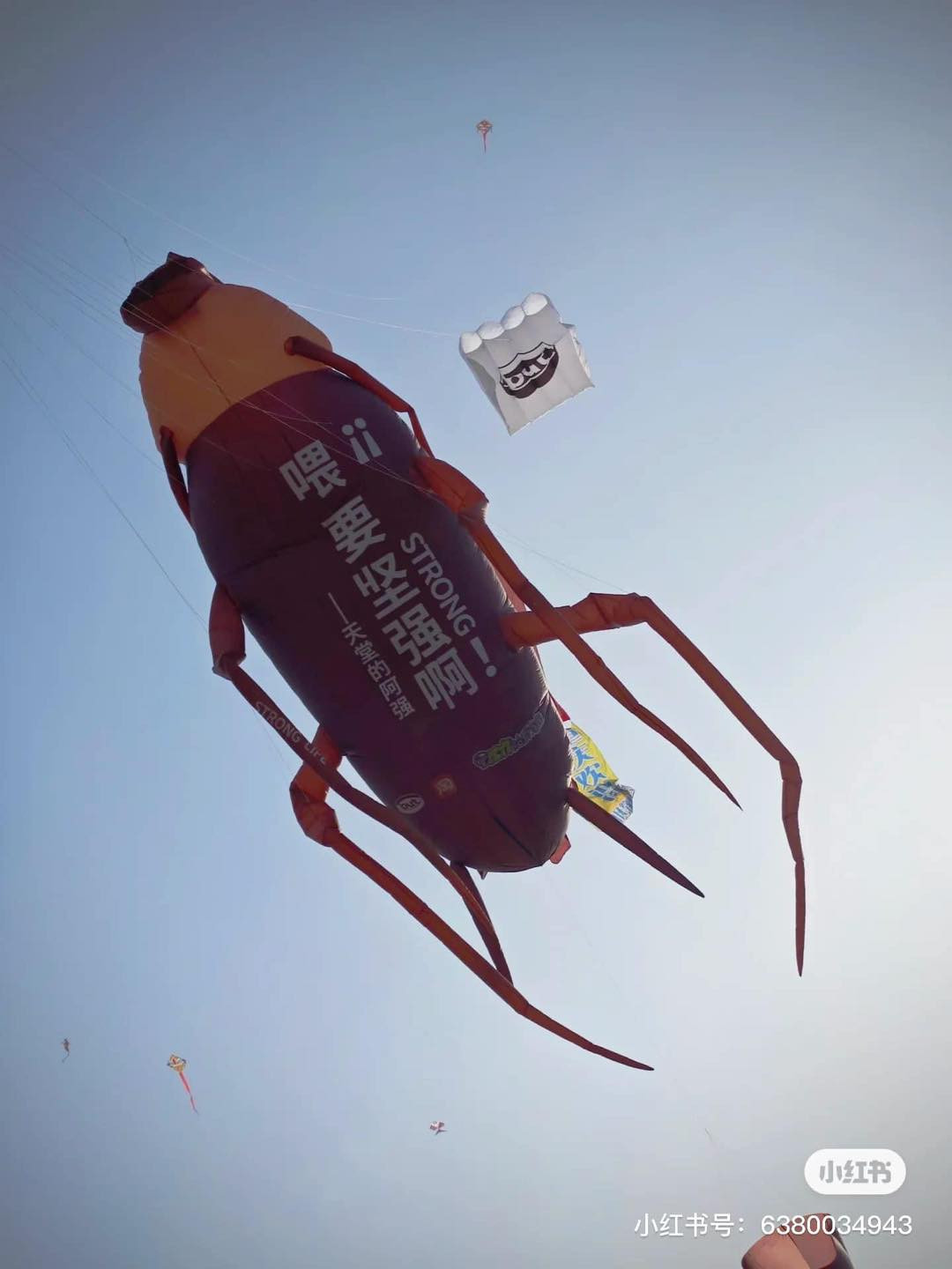 Con diều hình "tiểu cường" khiến nhiều người bất ngờ.