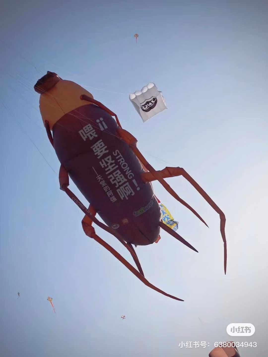 Con diều hình "tiểu cường" khiến nhiều người bất ngờ.