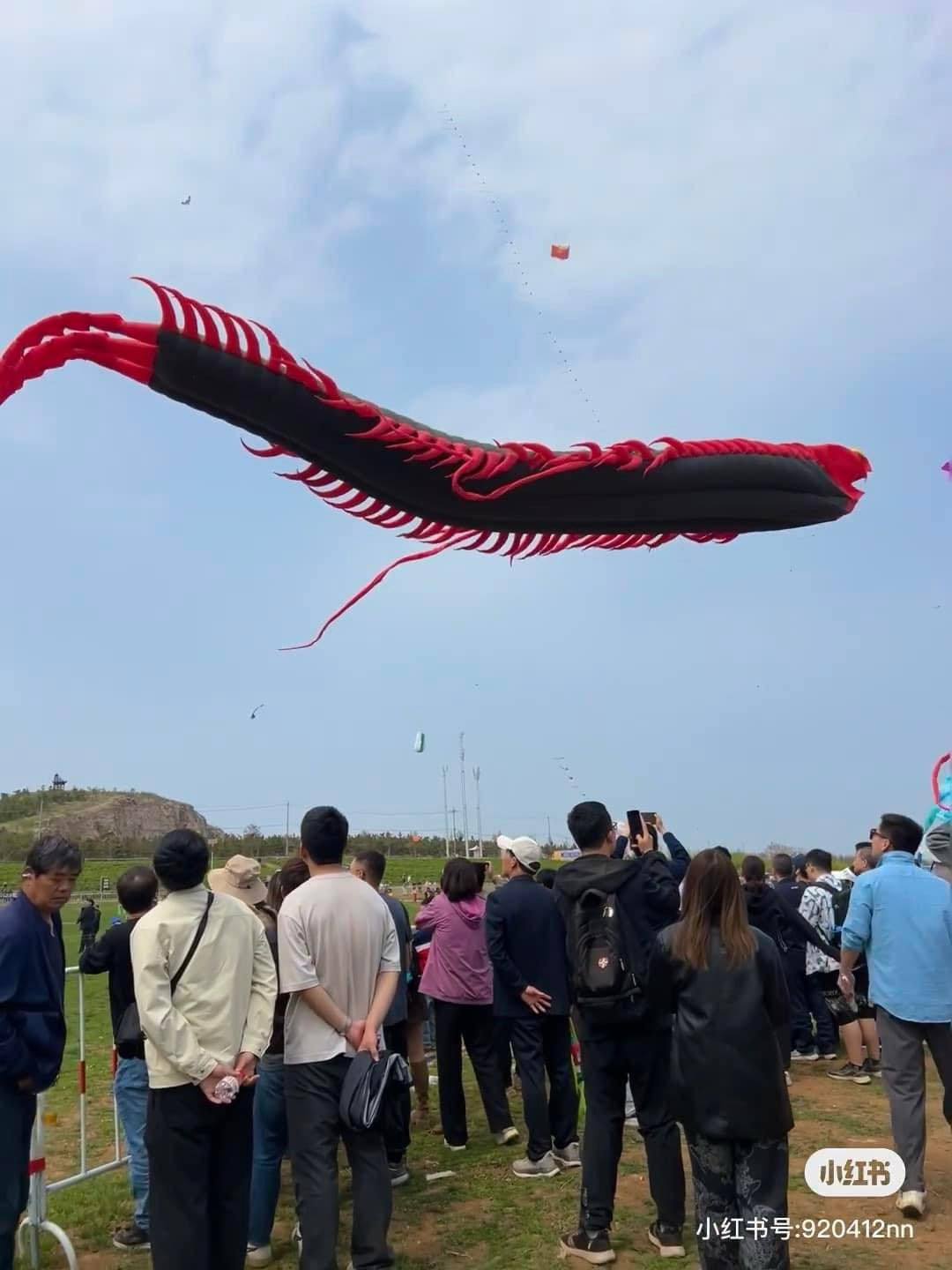 Những con diều hình Rồng và rết dài tới 70m.