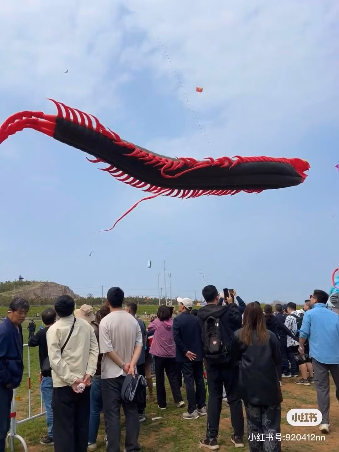 Những con diều hình Rồng và rết dài tới 70m.