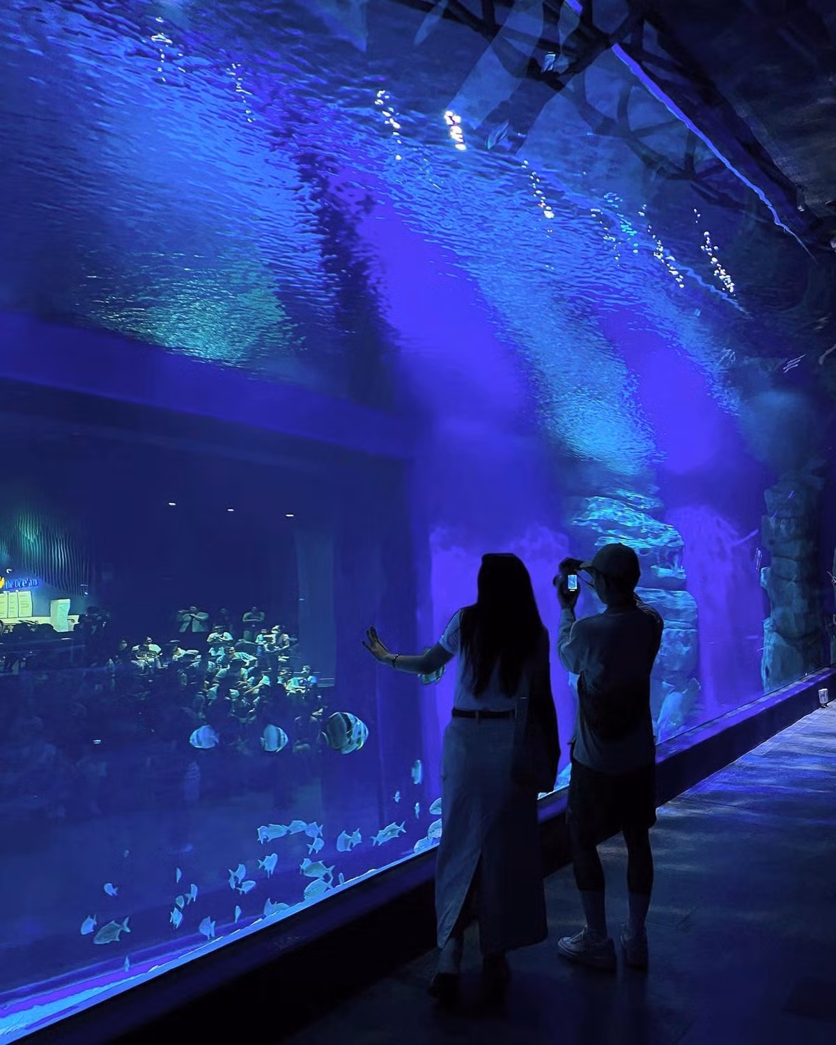 Thuỷ cung "10 điểm không có nhưng" này đã chính thức chào đón tất cả khách tham quan ngày 1/8/2023 vừa qua.