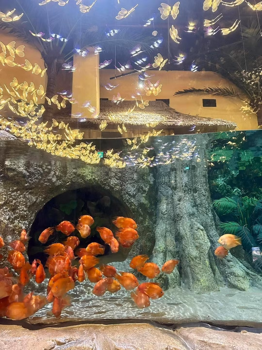 Không gian thuỷ cung được thiết kế ấn tượng mang đậm dấu ấn văn hoá dân gian Việt Nam, lấy cảm hứng từ câu chuyện thần thoại về Cá Ông.