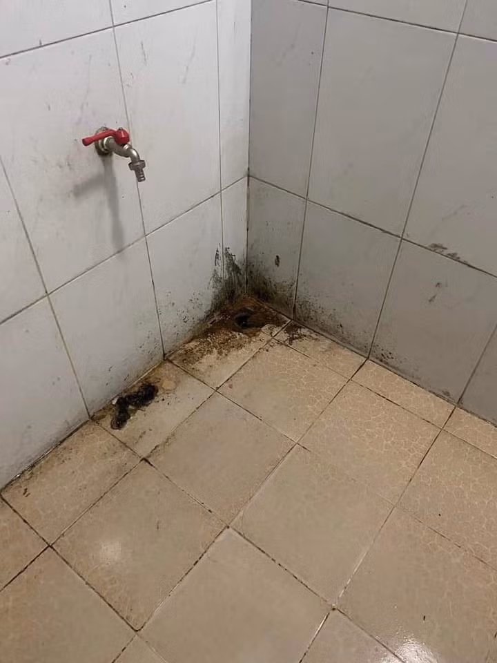 Nhà vệ sinh toàn là tóc rối